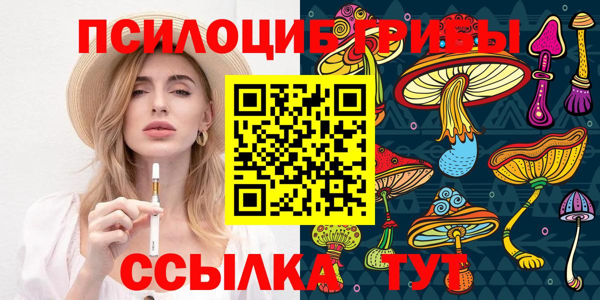 где найти наркотики  Псилоцибиновые грибы мухоморы  Вход с VPN  Туймазы 