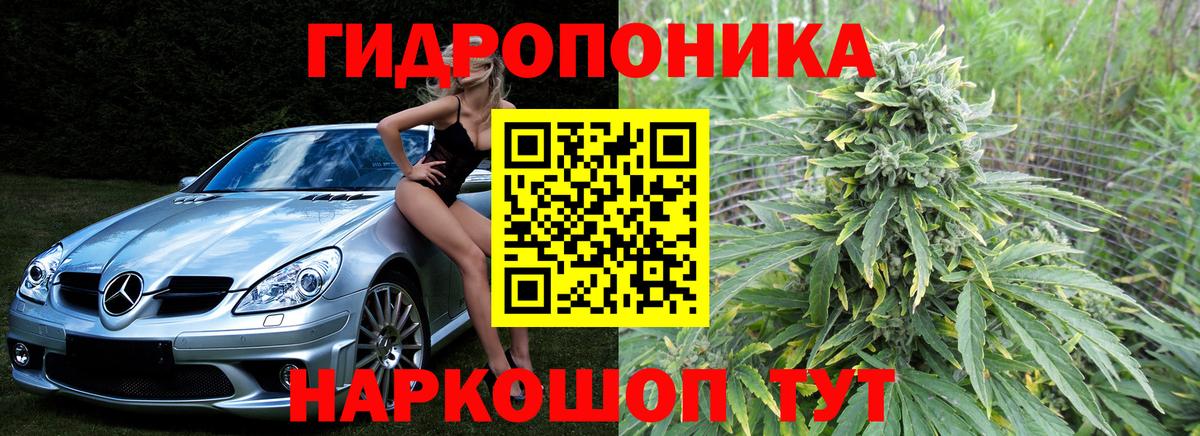 Бошки марихуана Bruce Banner Туймазы